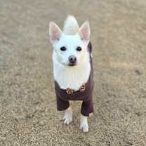 Thumbnail photo of Seven #1