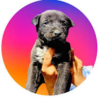 Thumbnail photo of Milton #1