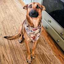 Thumbnail photo of Lyndon #2