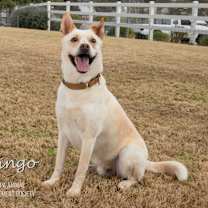 Thumbnail photo of Bingo #3