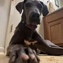 Thumbnail photo of Diva #3