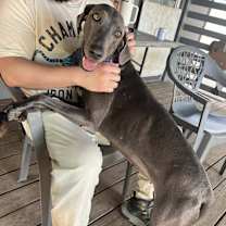 Thumbnail photo of Diva #4