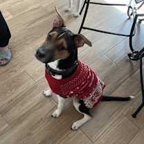 Thumbnail photo of Monk #1