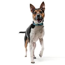 Thumbnail photo of Monk #2