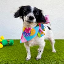 Thumbnail photo of Mimi #3