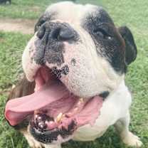 Thumbnail photo of Cletus #4