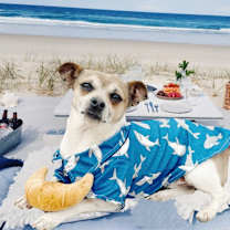 Thumbnail photo of Scott #3