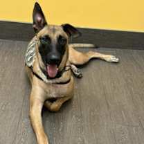 Thumbnail photo of Bear #3