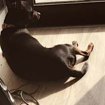 Thumbnail photo of Chuck #2