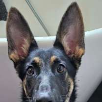 Thumbnail photo of Astrid #1