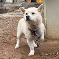 Thumbnail photo of Haetban #3