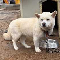 Thumbnail photo of Haetban #4