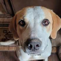 Thumbnail photo of Lyudmila #1