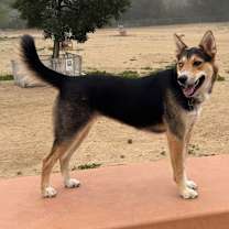 Thumbnail photo of Lucca #4