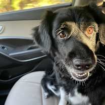 Thumbnail photo of Nova #2