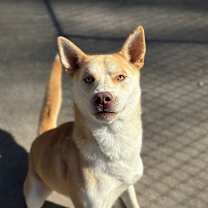 Thumbnail photo of Pita #3