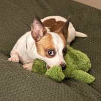 Thumbnail photo of Nico #4