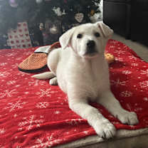 Thumbnail photo of Florrie #2