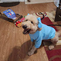 Thumbnail photo of Chase #3