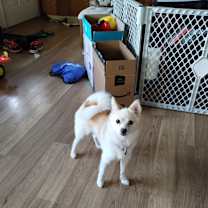 Thumbnail photo of Bella #1