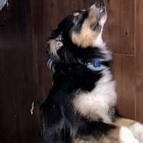 Thumbnail photo of Conner #2