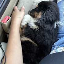 Thumbnail photo of Conner #4