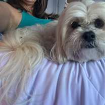 Thumbnail photo of Darcy #2