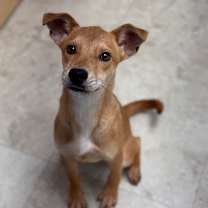 Thumbnail photo of Bonita #3