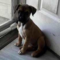 Thumbnail photo of Erika TW #2