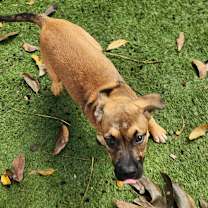 Thumbnail photo of Erika TW #4