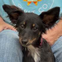 Thumbnail photo of Sally Fay #1