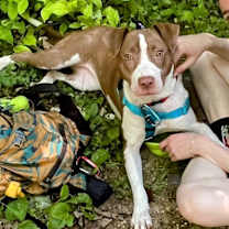 Thumbnail photo of Hopscotch #3