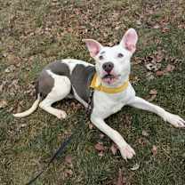 Thumbnail photo of Posey #3