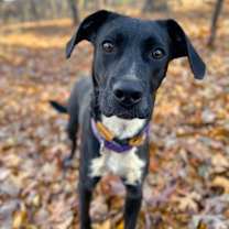 Thumbnail photo of Adela #4