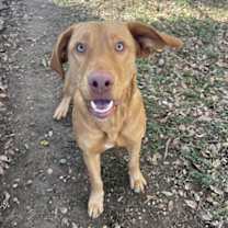 Thumbnail photo of Golden State #3