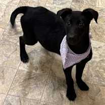 Thumbnail photo of Angela #2