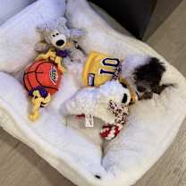 Thumbnail photo of Rolex #4