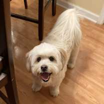 Thumbnail photo of Lola #3