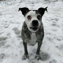 Thumbnail photo of Baby Girl #4