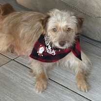 Thumbnail photo of Twine #1