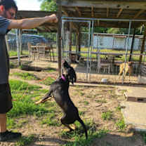 Thumbnail photo of Yosef #3