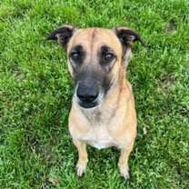 Thumbnail photo of Yolo #1