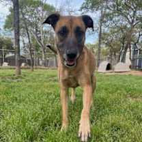 Thumbnail photo of Yolo #3