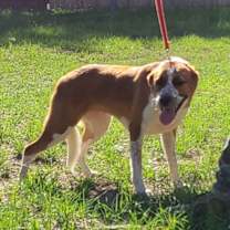 Thumbnail photo of Wish #1