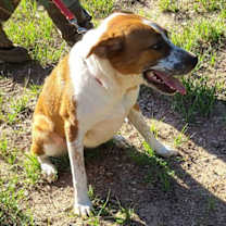 Thumbnail photo of Wish #3