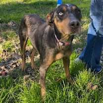 Thumbnail photo of Tommilyn #1