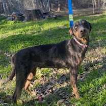 Thumbnail photo of Tommilyn #2