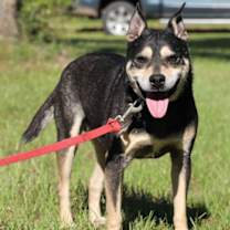 Thumbnail photo of Simon #1