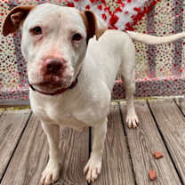 Thumbnail photo of Sasha #1