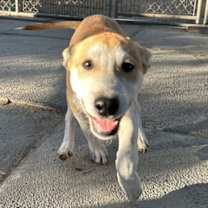 Thumbnail photo of Peter #2